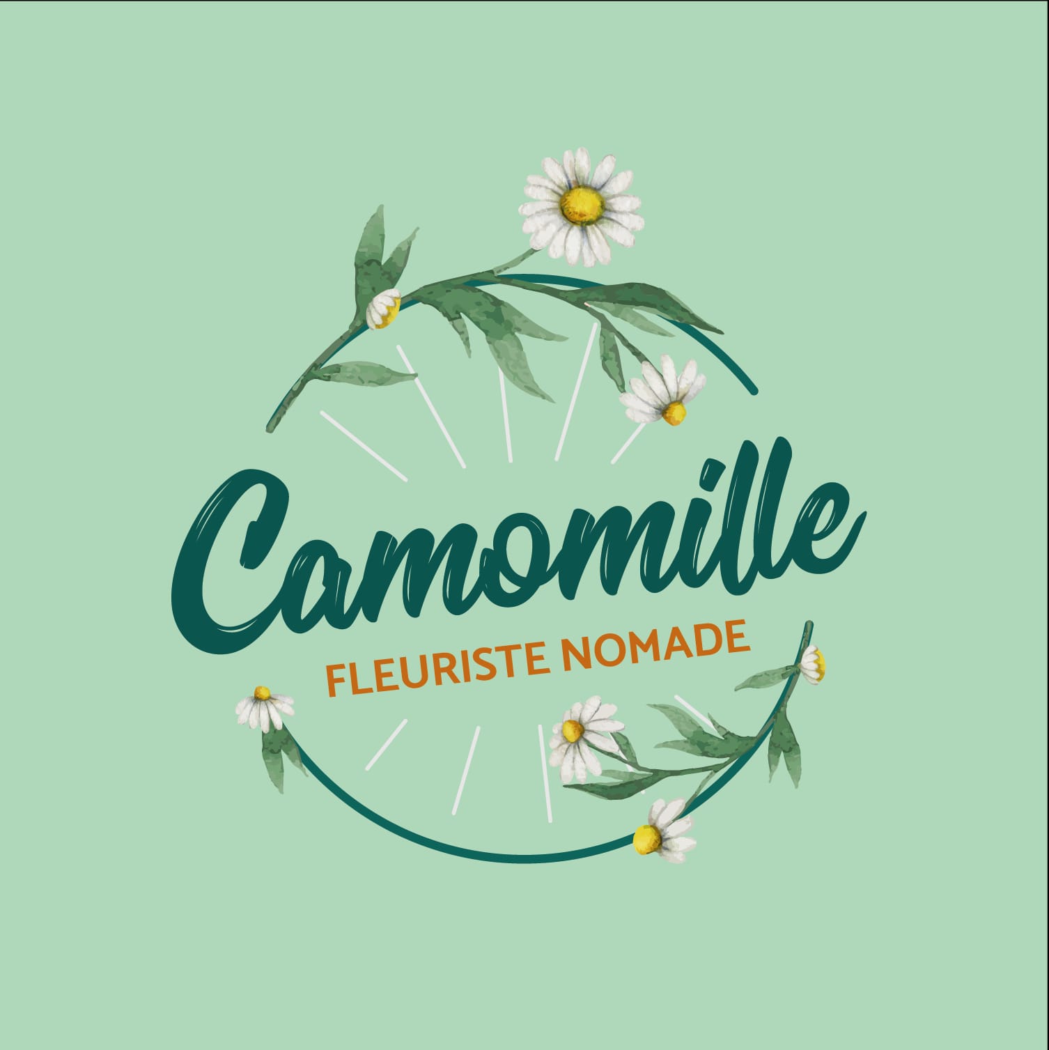 Camomille Fleuriste Nomade